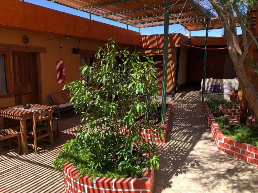Hostal Nuevo Amanecer San Pedro de Atacama Exterior foto